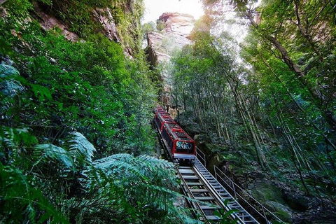 Fully Inclusive Blue Mountains Private Tour Inc Scenic World & Featherdale Entry - Accommodation Port Hedland 4