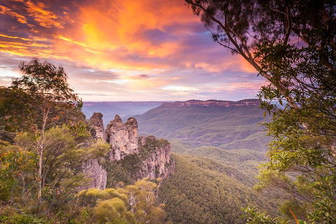 Fully Inclusive Blue Mountains Private Tour Inc Scenic World & Featherdale Entry - Accommodation Port Hedland 5