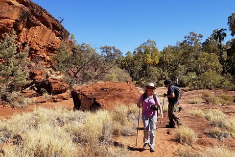 Palm Valley And Hermannsburg 1 Day 4WD Tour - Accommodation Port Hedland 1
