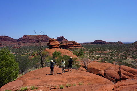 Palm Valley And Hermannsburg 1 Day 4WD Tour - Accommodation Port Hedland 2