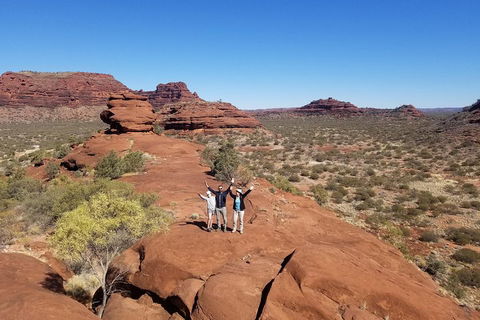 Palm Valley And Hermannsburg 1 Day 4WD Tour - Accommodation Port Hedland 3