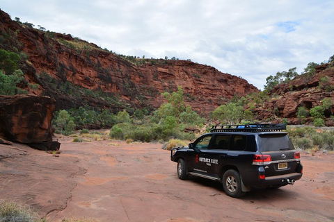 Palm Valley And Hermannsburg 1 Day 4WD Tour - Accommodation Port Hedland 5