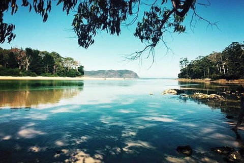 Full-Day Guided Bruny Island Tour From Hobart - Accommodation Port Hedland 1