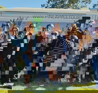 Full Day Mount Tamborine Winery Tour from Gold Coast - Accommodation Port Hedland