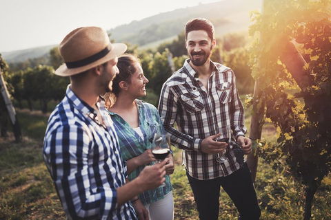 Full Day Mount Tamborine Winery Tour From Gold Coast - Accommodation Port Hedland 5