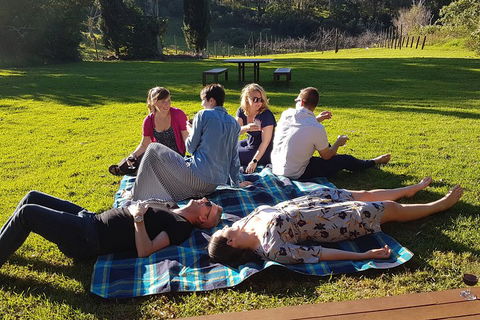 Mt Tamborine - Hinterland Wonders Self Guided - Accommodation Port Hedland 2