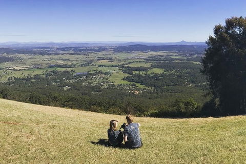 Mt Tamborine - Hinterland Wonders Self Guided - Accommodation Port Hedland 4