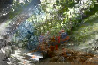 Mossman Gorge Adventure Day, Port Douglas