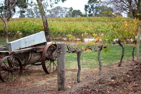 Maggie Beer Farm - Barossa Valley Regional Tour - Accommodation Port Hedland 1