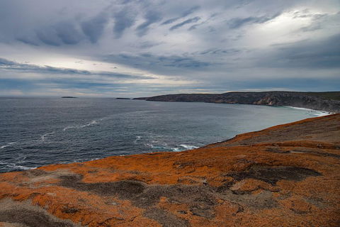 Kangaroo Island Luxury Small Group 'Flinders Chase Focus' Full Day Tour - Accommodation Port Hedland 0