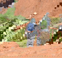 Afternoon Kata Tjuta Small Group Tour - Accommodation Port Hedland