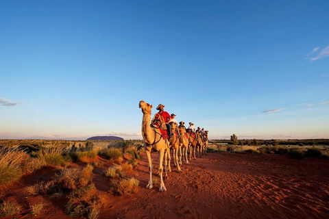 Uluru Small-Group Tour By Camel At Sunrise Or Sunset - Accommodation Port Hedland 3