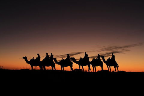 Uluru Small-Group Tour By Camel At Sunrise Or Sunset - Accommodation Port Hedland 4