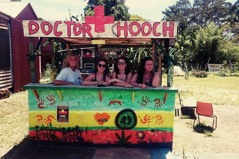 Byron Surrounds: Nimbin Waterfall Adventure - Swimming Tour - Accommodation Port Hedland 5