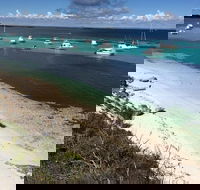 Experience Rottnest with Ferry  Bike Hire from Perth or Fremantle - Accommodation Port Hedland