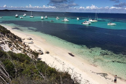Experience Rottnest With Ferry & Bike Hire From Perth Or Fremantle - Accommodation Port Hedland 0