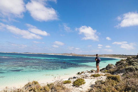 Experience Rottnest With Ferry & Bike Hire From Perth Or Fremantle - Accommodation Port Hedland 3