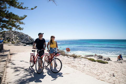 Experience Rottnest With Ferry & Bike Hire From Perth Or Fremantle - Accommodation Port Hedland 4