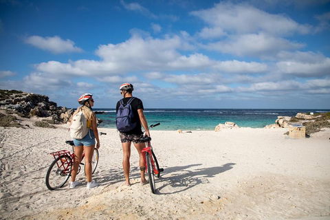 Experience Rottnest With Ferry & Bike Hire From Perth Or Fremantle - Accommodation Port Hedland 5