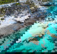 Rottnest Island Round-Trip Ferry from Perth or Fremantle - Accommodation Port Hedland