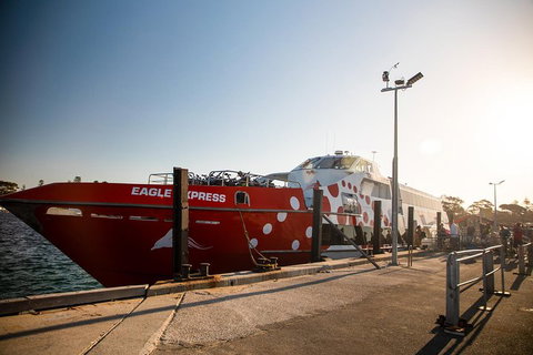 Rottnest Island Round-Trip Ferry From Perth Or Fremantle - Accommodation Port Hedland 2