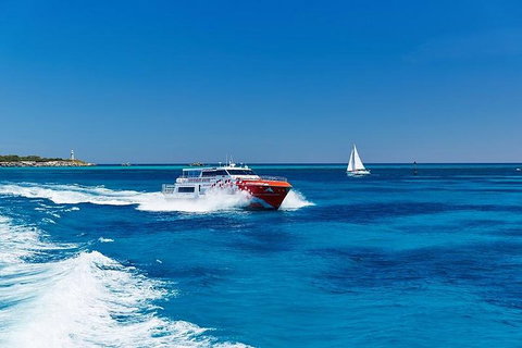 Rottnest Island Round-Trip Ferry From Perth Or Fremantle - Accommodation Port Hedland 4