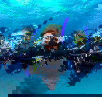 Great Barrier Reef Diving and Snorkeling Cruise from Cairns - Accommodation Port Hedland