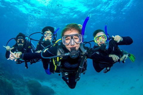 Great Barrier Reef Diving And Snorkeling Cruise From Cairns - Accommodation Port Hedland 0