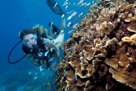 Great Barrier Reef Diving And Snorkeling Cruise From Cairns - Accommodation Port Hedland 1