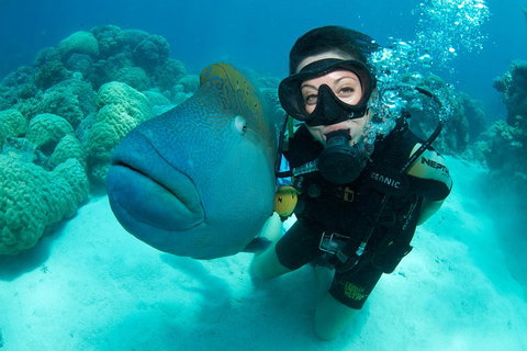 Great Barrier Reef Diving And Snorkeling Cruise From Cairns - Accommodation Port Hedland 2
