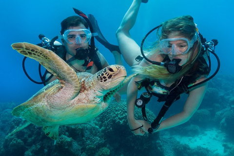 Great Barrier Reef Diving And Snorkeling Cruise From Cairns - Accommodation Port Hedland 4