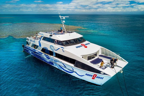 Great Barrier Reef Diving And Snorkeling Cruise From Cairns - Accommodation Port Hedland 5