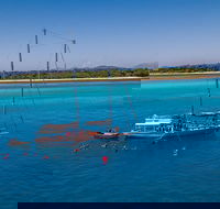 Ocean Free Green Island  Great Barrier Reef Snorkel Cruise Cairns 25 guests - Accommodation Port Hedland