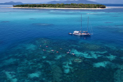 Ocean Free Green Island & Great Barrier Reef Snorkel Cruise, Cairns 25 Guests - Accommodation Port Hedland 2
