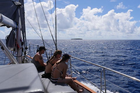 Ocean Free Green Island & Great Barrier Reef Snorkel Cruise, Cairns 25 Guests - Accommodation Port Hedland 4