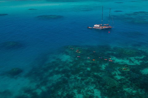 Ocean Free Green Island & Great Barrier Reef Snorkel Cruise, Cairns 25 Guests - Accommodation Port Hedland 5