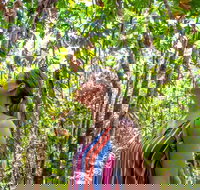 5 Day Australia Retreat Queensland Daintree - Accommodation Port Hedland