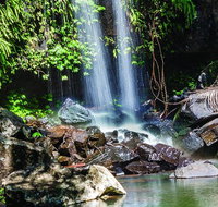 Full Day Small Group Luxury Tour to Tamborine Mountain - Accommodation Port Hedland