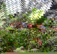 Australian Butterfly Sanctuary - Accommodation Port Hedland