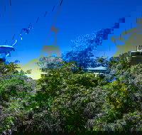 Classic Kuranda by Skyrail and Scenic Railway Including Rainforestation Koala and Wildlife Park and Pamagirri Aboriginal Experi - Accommodation Port Hedland