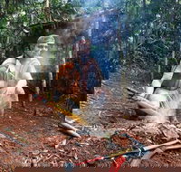 Kuranda Highlights including Rainforestation Aboriginal Culture and Wildlife - Accommodation Port Hedland