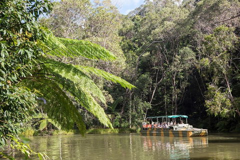 Best Of Kuranda Including Skyrail, Kuranda Scenic Railway And Rainforestation - Accommodation Port Hedland 5