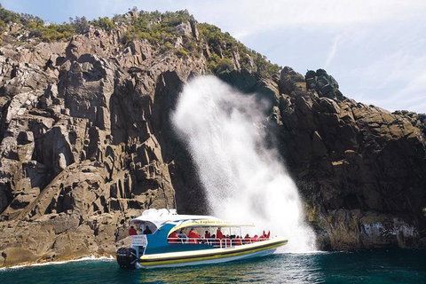 Full-Day Bruny Island Cruises Day Tour From Hobart - Accommodation Port Hedland 4