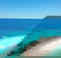 Ocean Safari Great Barrier Reef Experience in Cape Tribulation - Accommodation Port Hedland