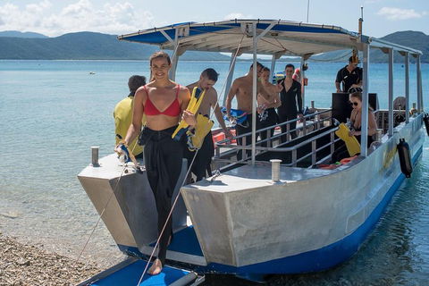 Fitzroy Island Day Trip From Cairns - Accommodation Port Hedland 5