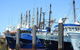 One Day Port Lincoln Tour - Tasting Eyre - thumb 0