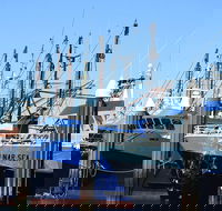 One Day Port Lincoln Tour - Tasting Eyre - Accommodation Port Hedland
