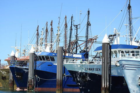 One Day Port Lincoln Tour - Tasting Eyre - Accommodation Port Hedland 0