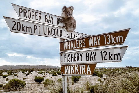 One Day Port Lincoln Tour - Tasting Eyre - Accommodation Port Hedland 2