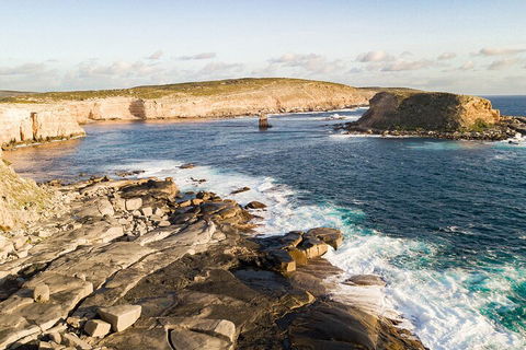 One Day Port Lincoln Tour - Tasting Eyre - Accommodation Port Hedland 3